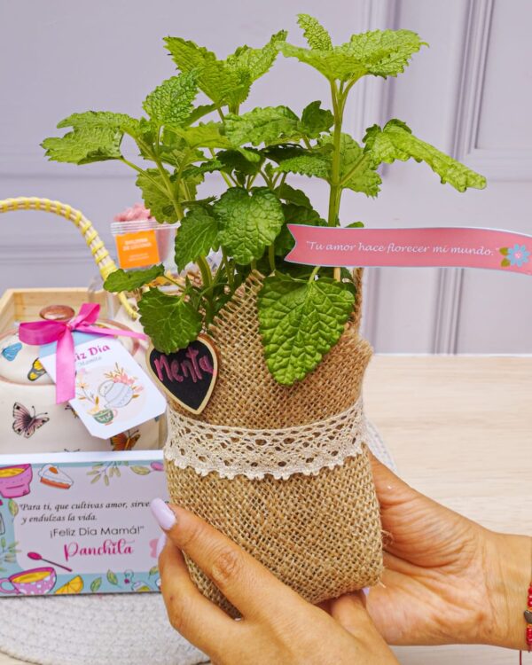 Box El Jardín de Mamá - Imagen 4