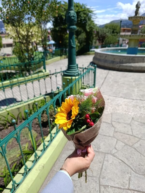 Ramito Un rayito de sol