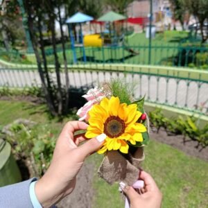 WhatsApp Image 2026-03-02 at 4.39.58 PM Ramito Un rayito de sol