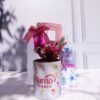 Box Aprecio Corport