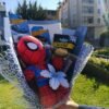 WhatsApp Image 2026-09-28 at 10.27.14 AM (1) Ramo Spider Racing