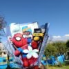 WhatsApp Image 2026-09-28 at 10.27.15 AM Ramo Spider Racing