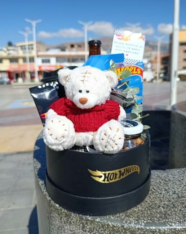 WhatsApp Image 2026-09-28 at 10.35.22 AM Box Mi Piloto Favorito